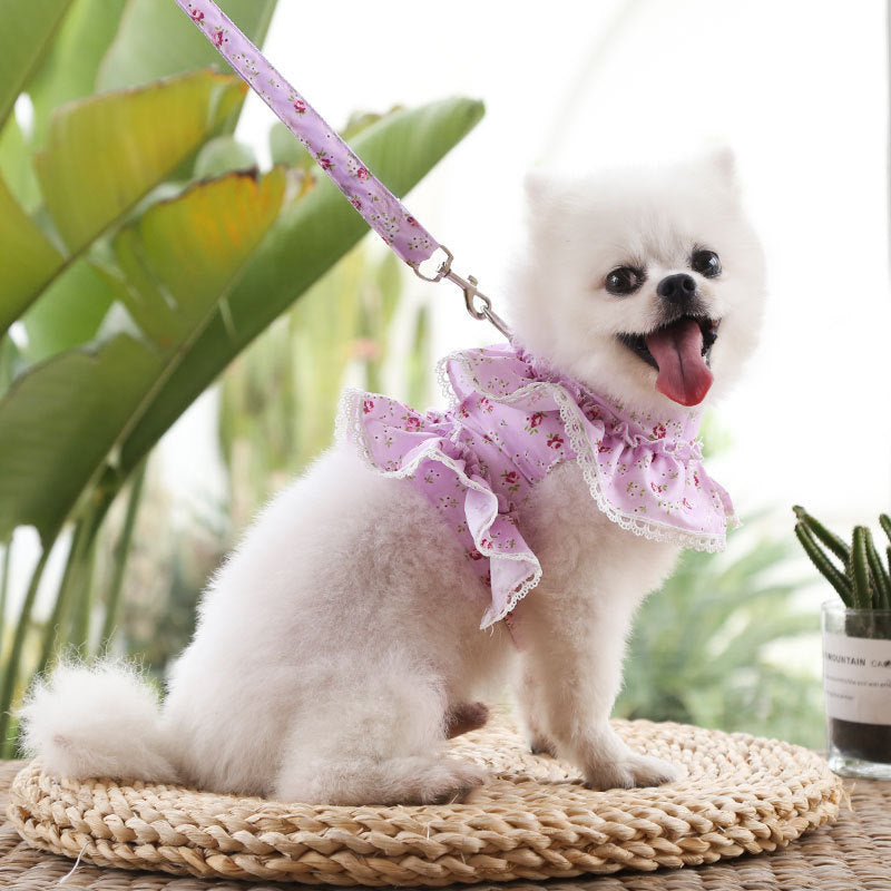 Dogs Cats Pets Clothes Chest Straps Traction Ropes Lace Teddy Bears Spring Summer Autumn Dog Rope Supplies