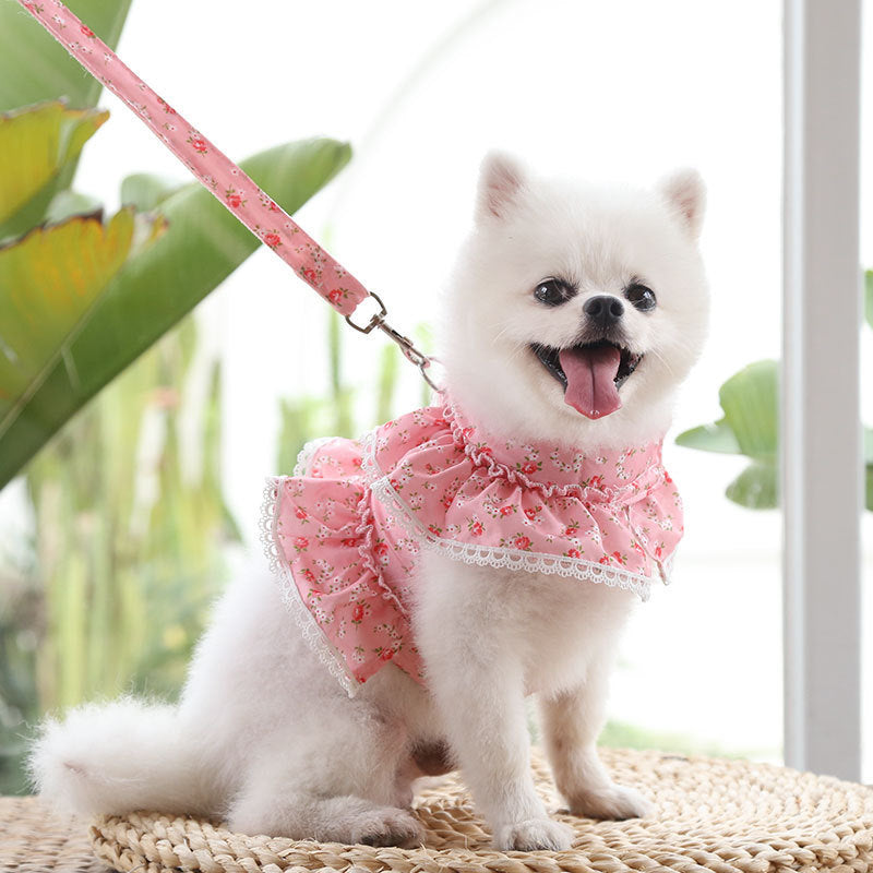Dogs Cats Pets Clothes Chest Straps Traction Ropes Lace Teddy Bears Spring Summer Autumn Dog Rope Supplies